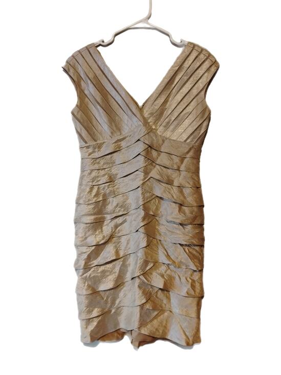 Adrianna Papell Dresses & Skirts - Adrianna Papell Women's Dress Size 8P
